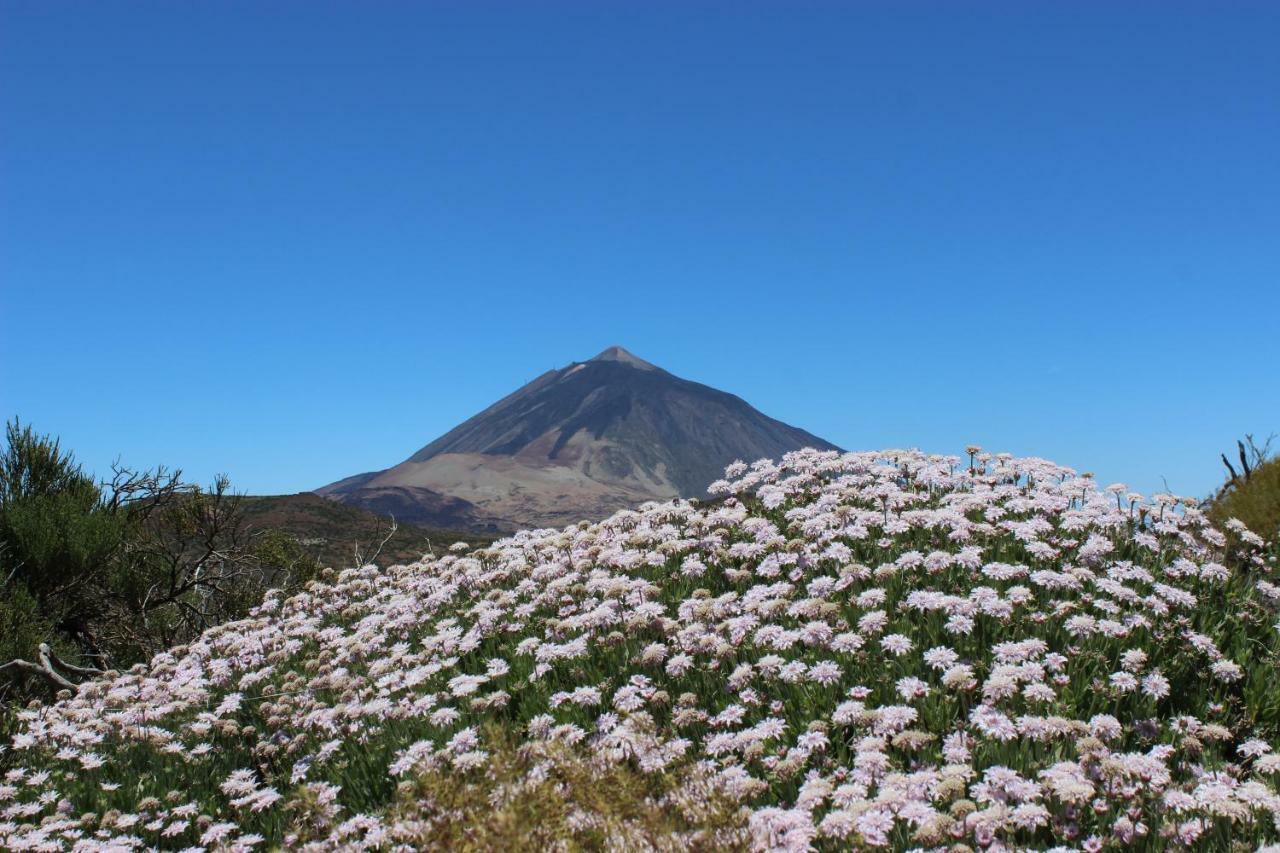 Apt El Perenquen Santa-Cruz de Ténérife Extérieur photo